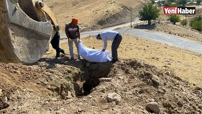 Etrafa Saçılan Kemikler Toplanıp Kefenlendikten Sonra Yeniden Defnedildi