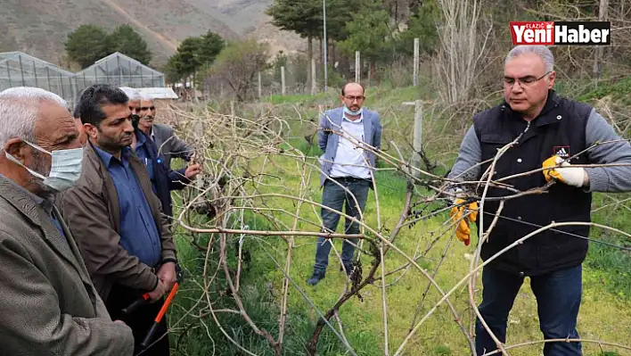 FÜ tarafından çiftçilere bağ budama eğitimi verildi