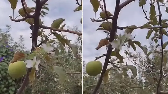 Görenleri Hayrete Düşüren Olay!