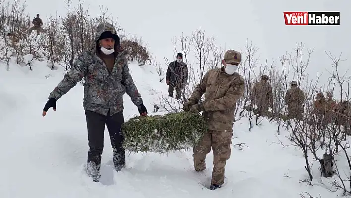 Jandarma ekipleri sokak ve yaban hayvanlarını unutmadı