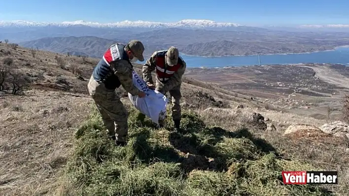 Jandarma Yaban Hayvanlarını Unutmadı