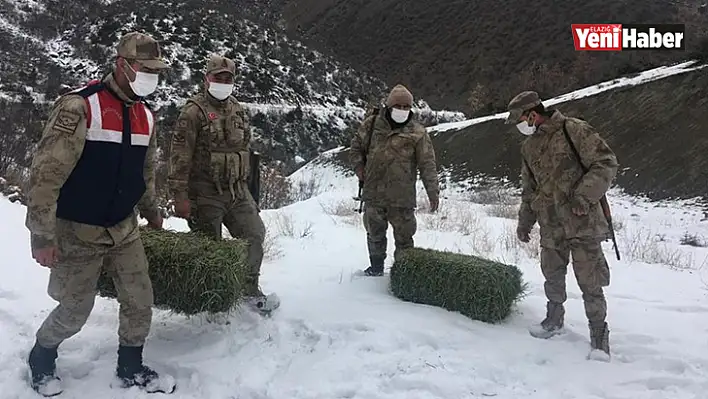 Jandarma Yaban Hayvanlarını Unutmadı