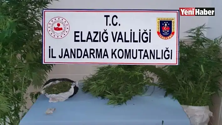 Jandarmadan Zehir Tacirlerine Eş Zamanlı Operasyon!