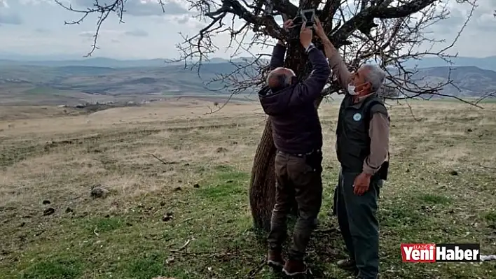 Kaçak Ava Karşı Foto Kapanlar Kuruldu, Kaçak Meterisler Yıkıldı