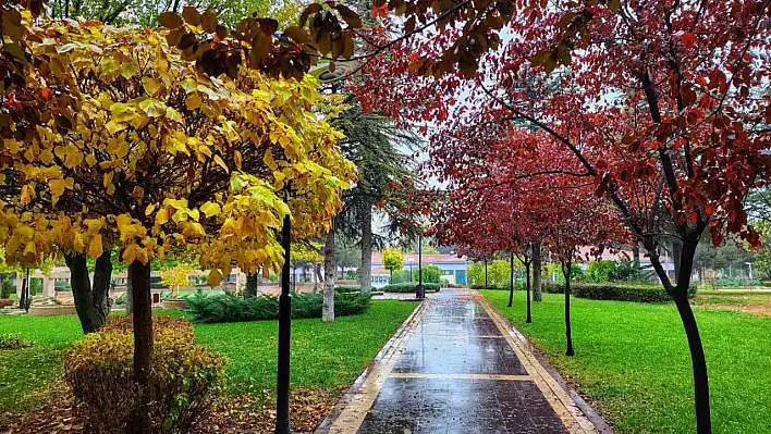 Kampüste Sonbahar Güzelliği