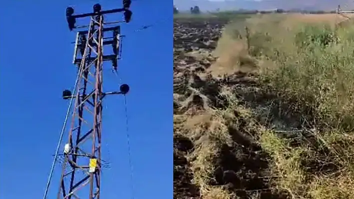 Karakoçan'da Tarla Yangını