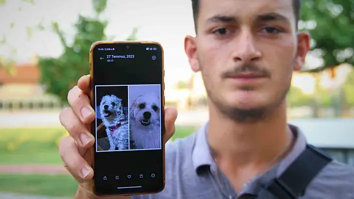 Kaybolan köpeğini bulmak için sokak sokak geziyor