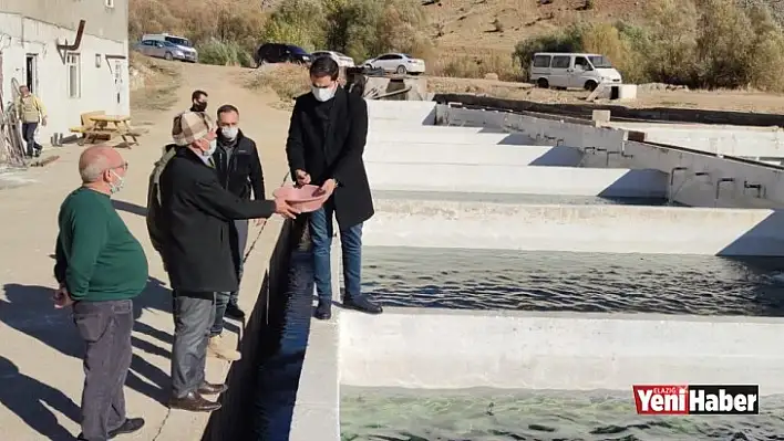 Kaymakam Güder, Balık Tesisini İnceledi