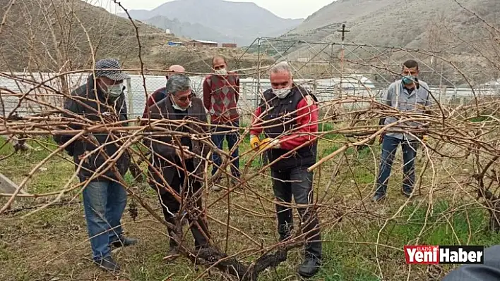 Keban'da Bağ Budama Eğitimi