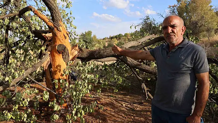 Yağmurlu Havada Dışarı Çıkamıyorlar