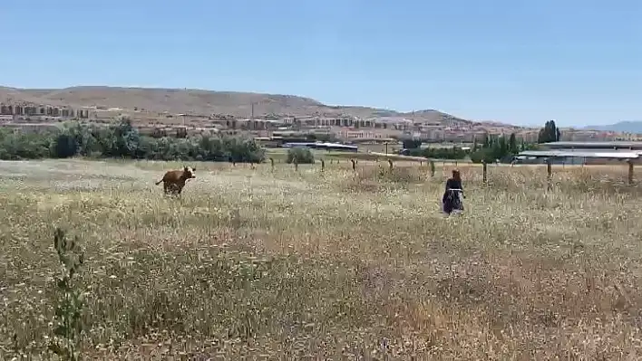 İlk Kaçak Elazığ'dan!