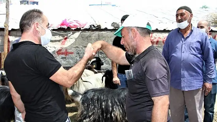 Kurbanlıklarda 3'üncü Gün Yoğunluğu