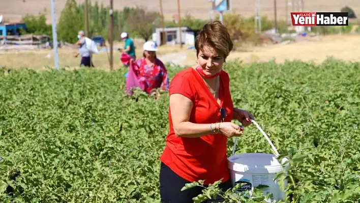 Marketlerdeki Fahiş Fiyatlara Kızdı, Tarlasını Vatandaşlara Açtı!