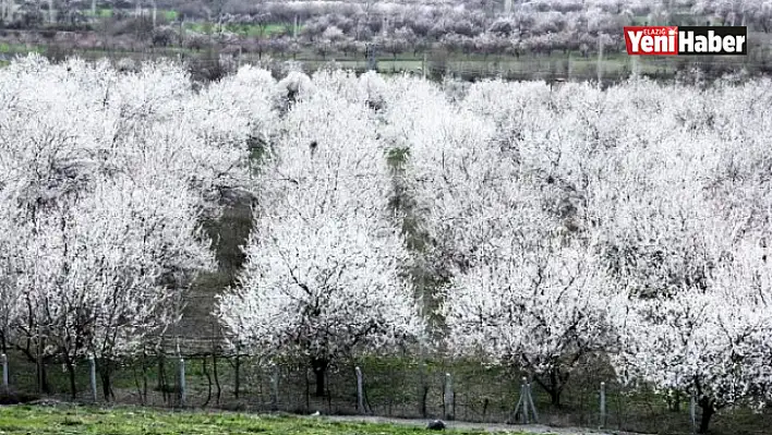 Meteorolojiden Zirai Don Uyarısı