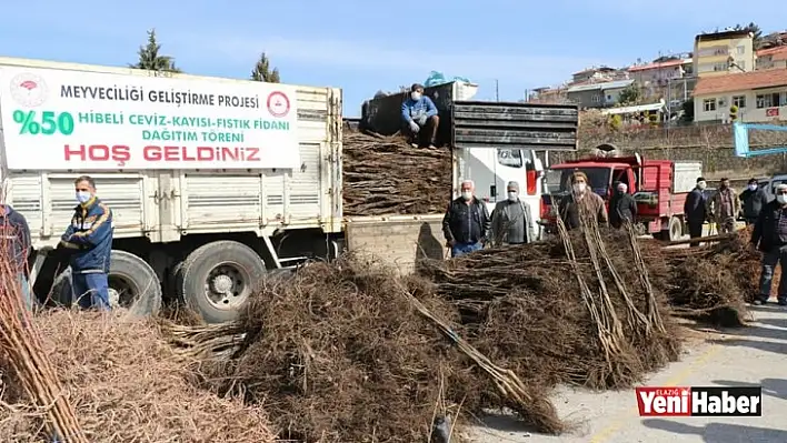 Meyveciliği Geliştirme Projesi Kapsamında 13 Bin Fidan Dağıtıldı