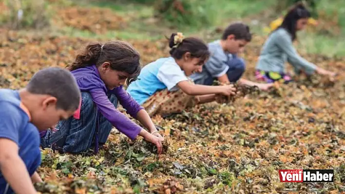 Uzaktan Eğitime Uzak Kaldılar!