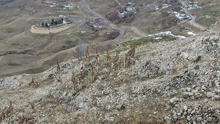 Palu'da İçimizi Isıtan Görüntüler!