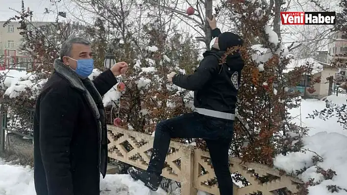 Polis yaban ve sokak hayvanları unutmadı