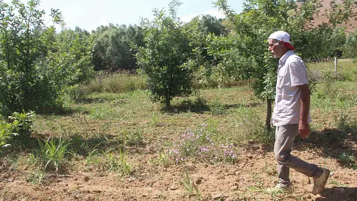 Siyah Elmas'ı Dört Gözle Bekliyor