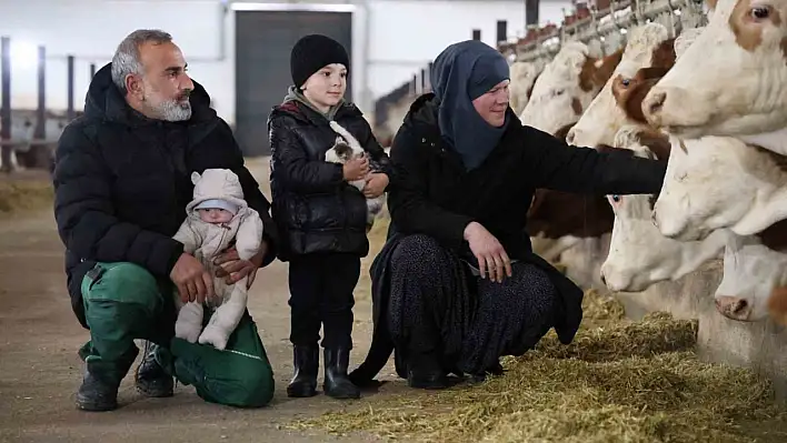 Yılda 432 Ton Süt Üretiyor