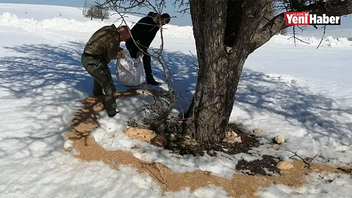 Yaban Hayvanlarına Yemleme Çalışmaları Devam Ediyor