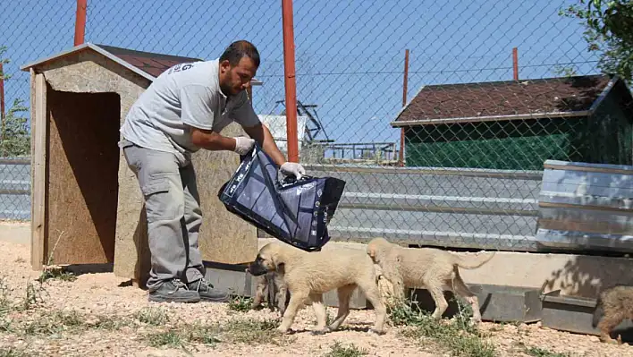 Yaklaşık 15 Bin Hayvan Tedavi Edildi