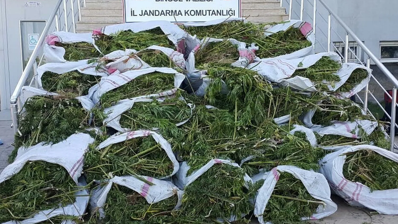 Bingöl'de 700 kilo esrar, 40 bin kök kenevir ele geçirildi 