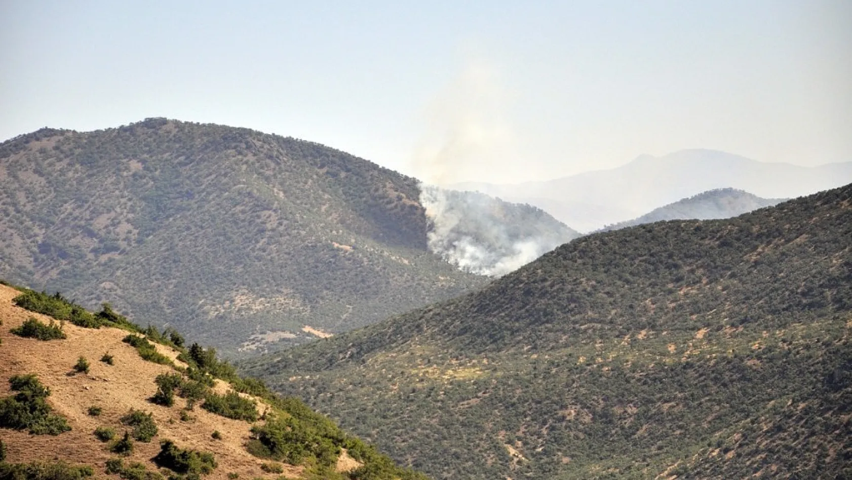 Tunceli'de otluk alanda başlayan yangın ormana sıçradı 