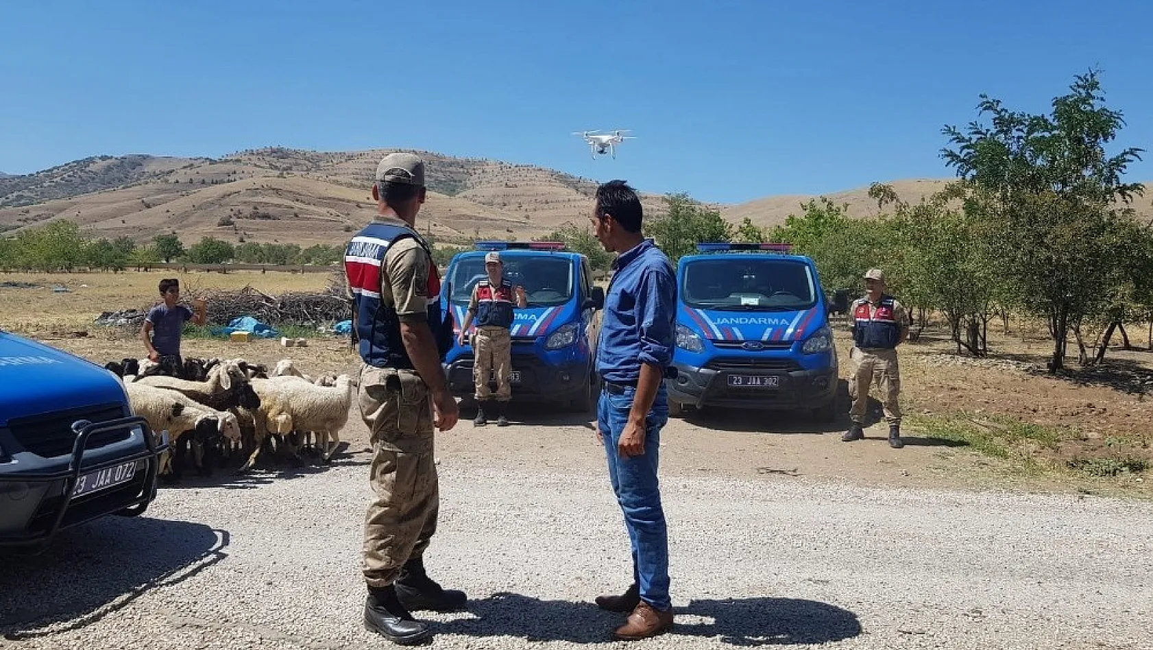 Kaybolan koyunlar drone ile bulundu 