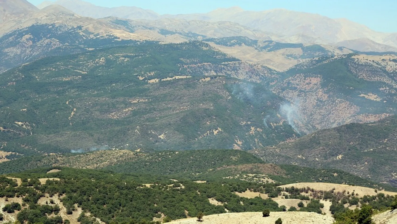 Tunceli'de ormanlık alandaki örtü altı yangını 