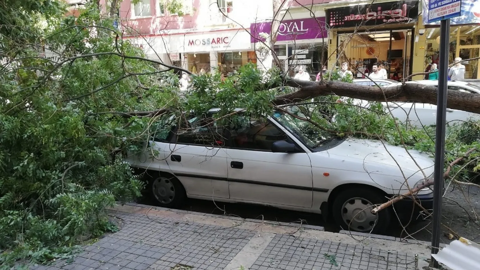 Malatya'da şiddetli fırtına ağaçları devirdi 