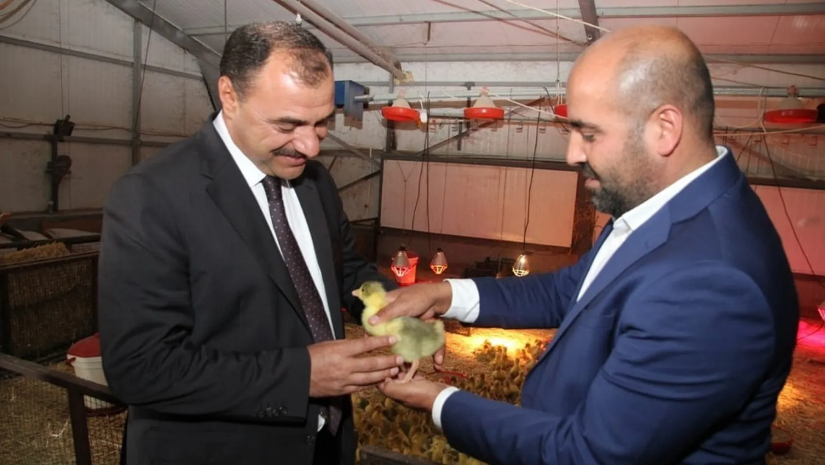 Vali Kaldırım, Türkiye'nin en büyük kaz çiftliğini inceledi 