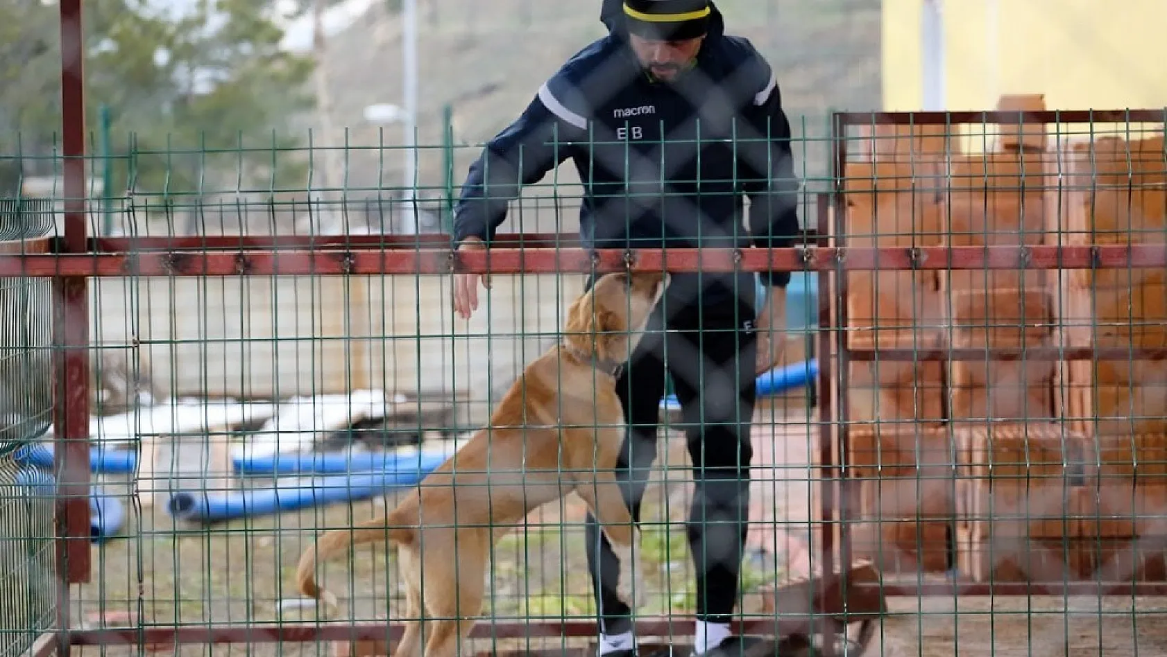 E.Yeni Malatyaspor'un 'Cesur'u artık genç bir köpek 