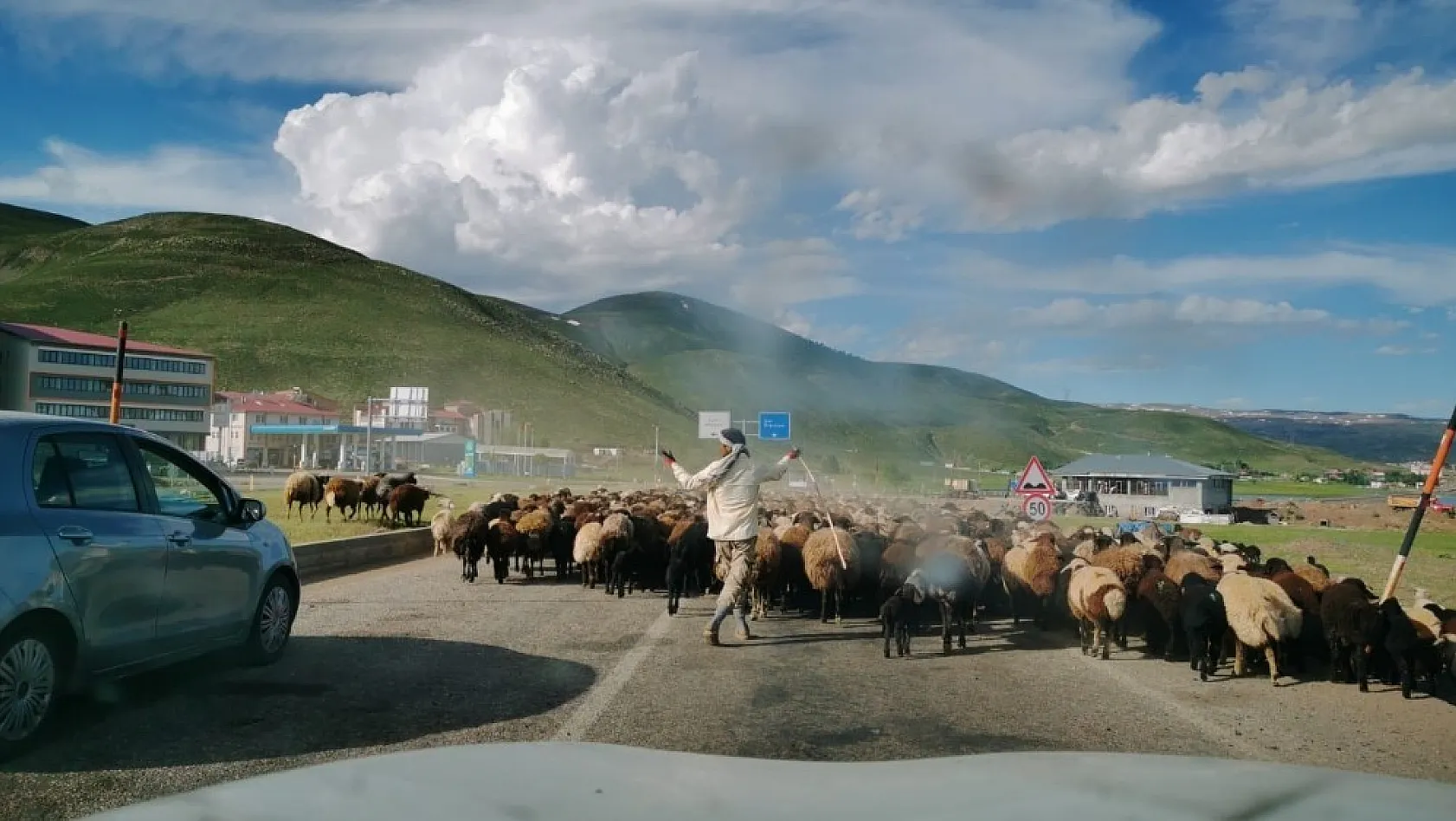 Koyun sürüsü yola indi, sürücüler beklemek zorunda kaldı 