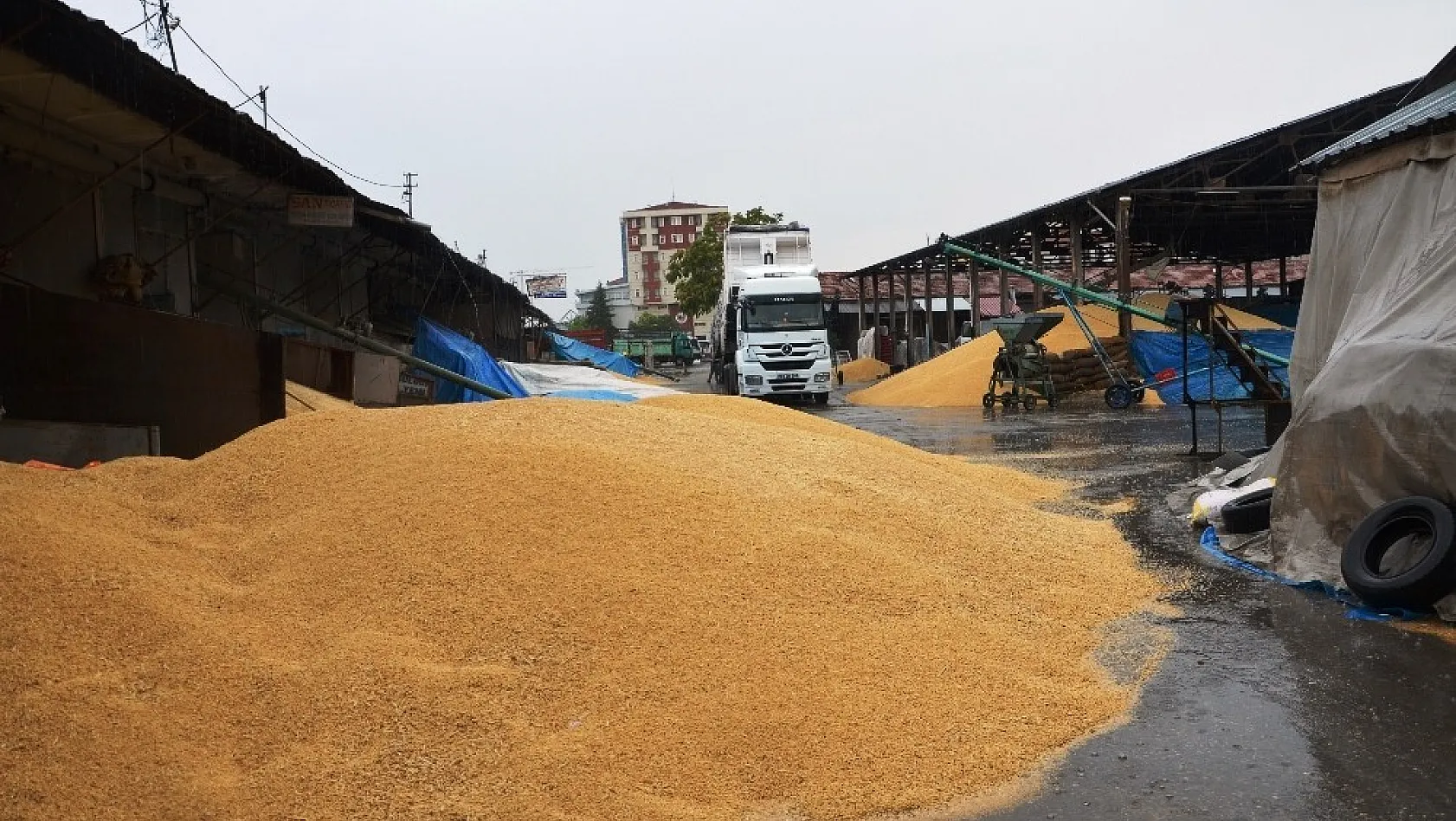 Buğday pazarında yağmur zarara yol açtı 