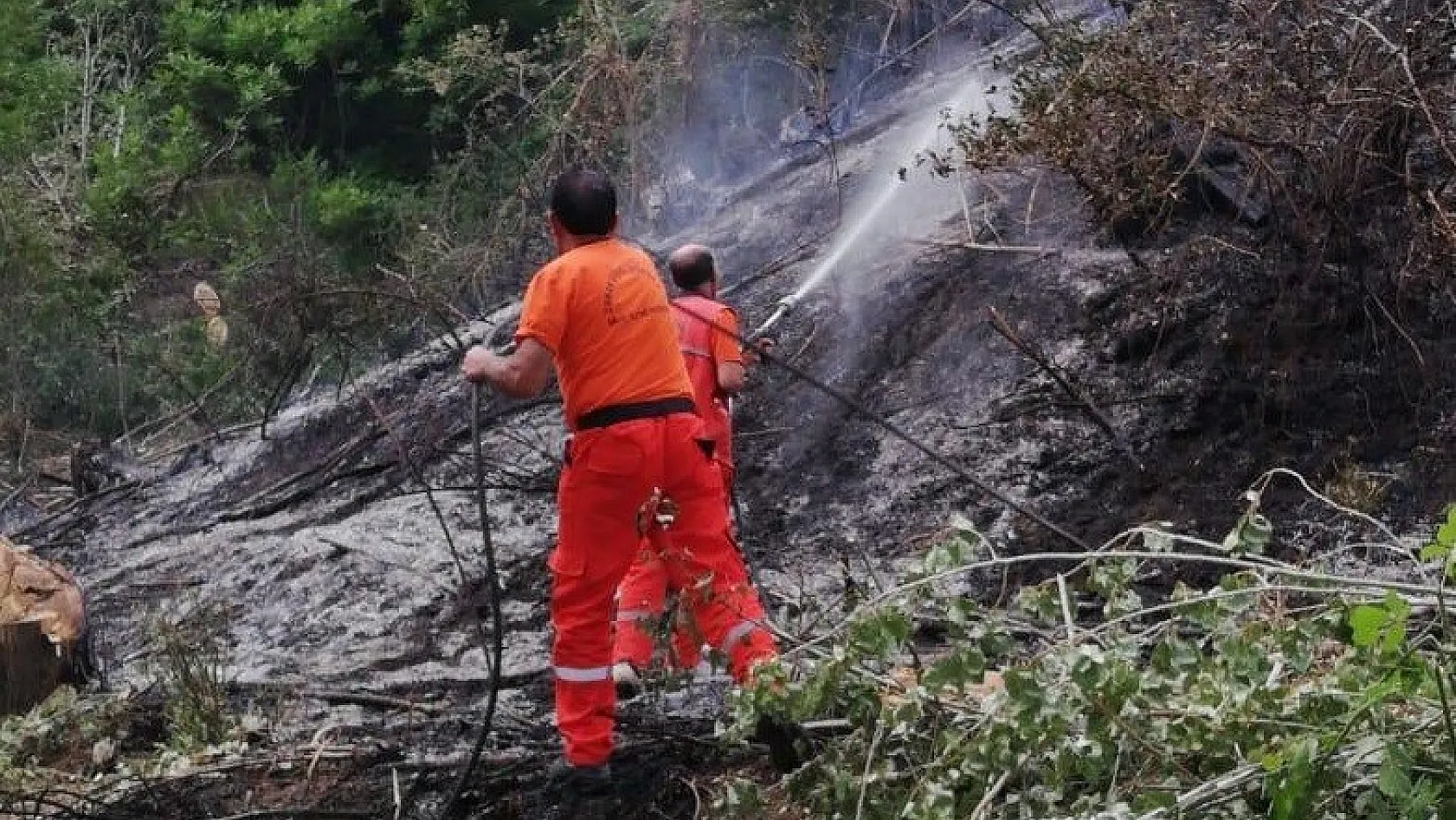 Bingöl'de 2 ayrı  yangın söndürüldü 