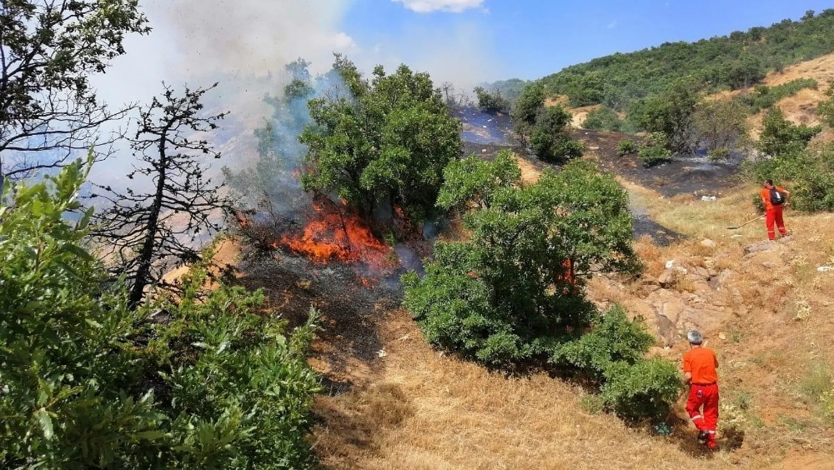 Köyde yangın çıktı, bazı ağaçlar zarar gördü 