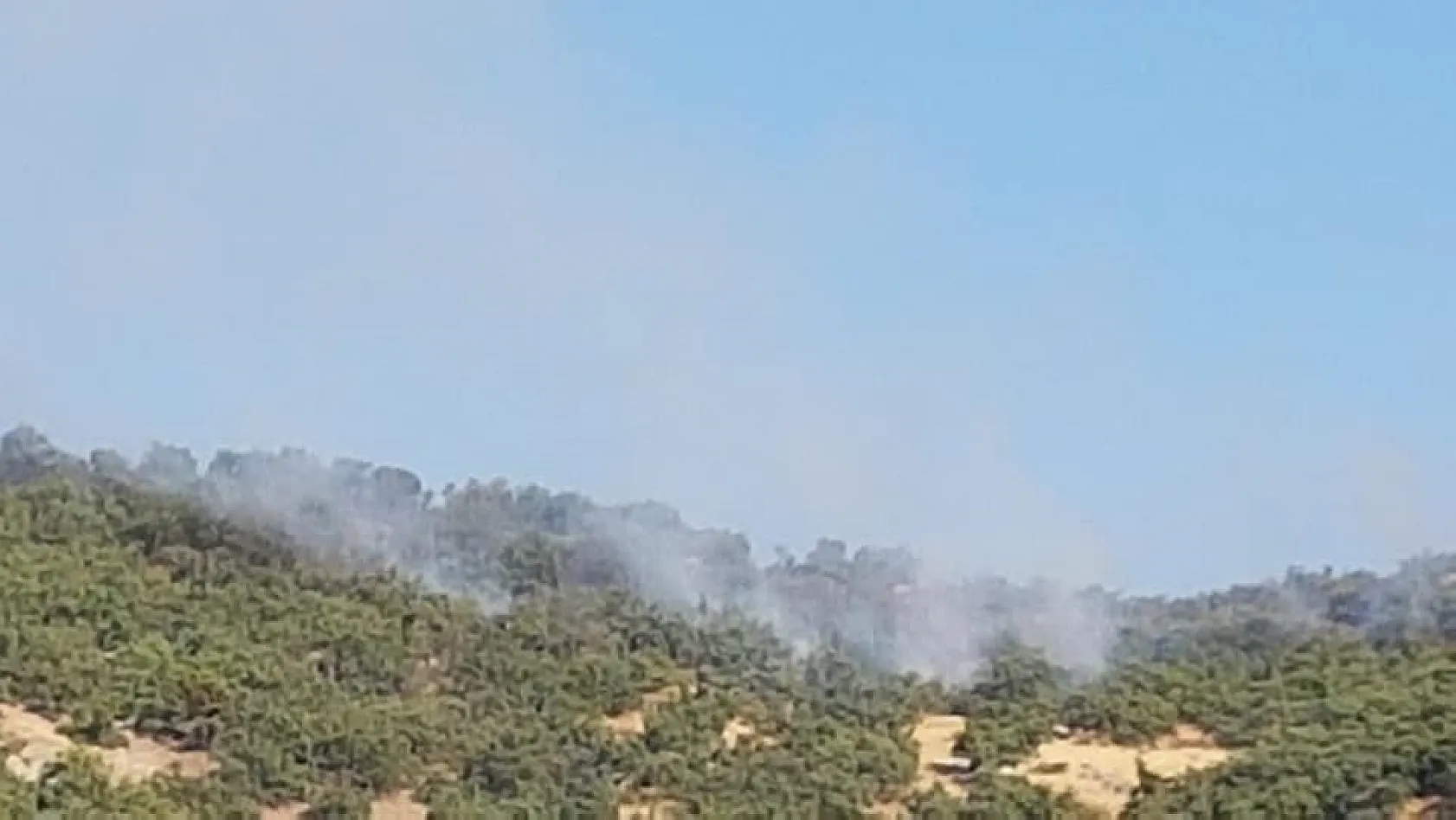 Hozat'ta orman yangını, ekipler müdahale ediyor 