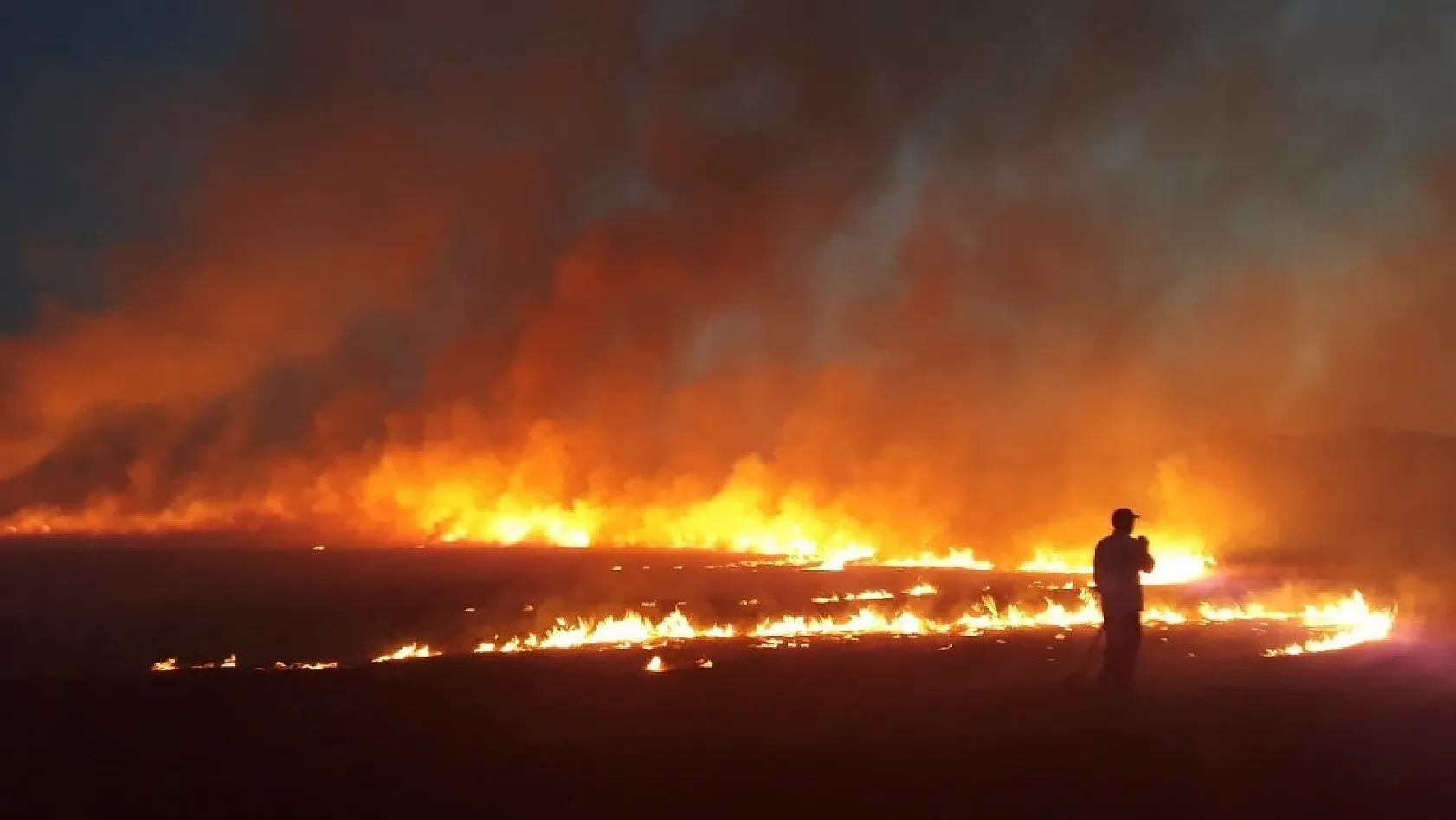 Bingöl'de yangın, 300 dönüm kül oldu 