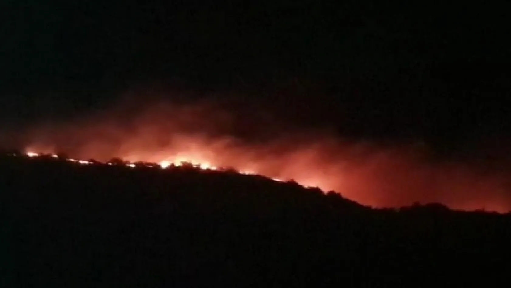 Elazığ'da orman yangını 
