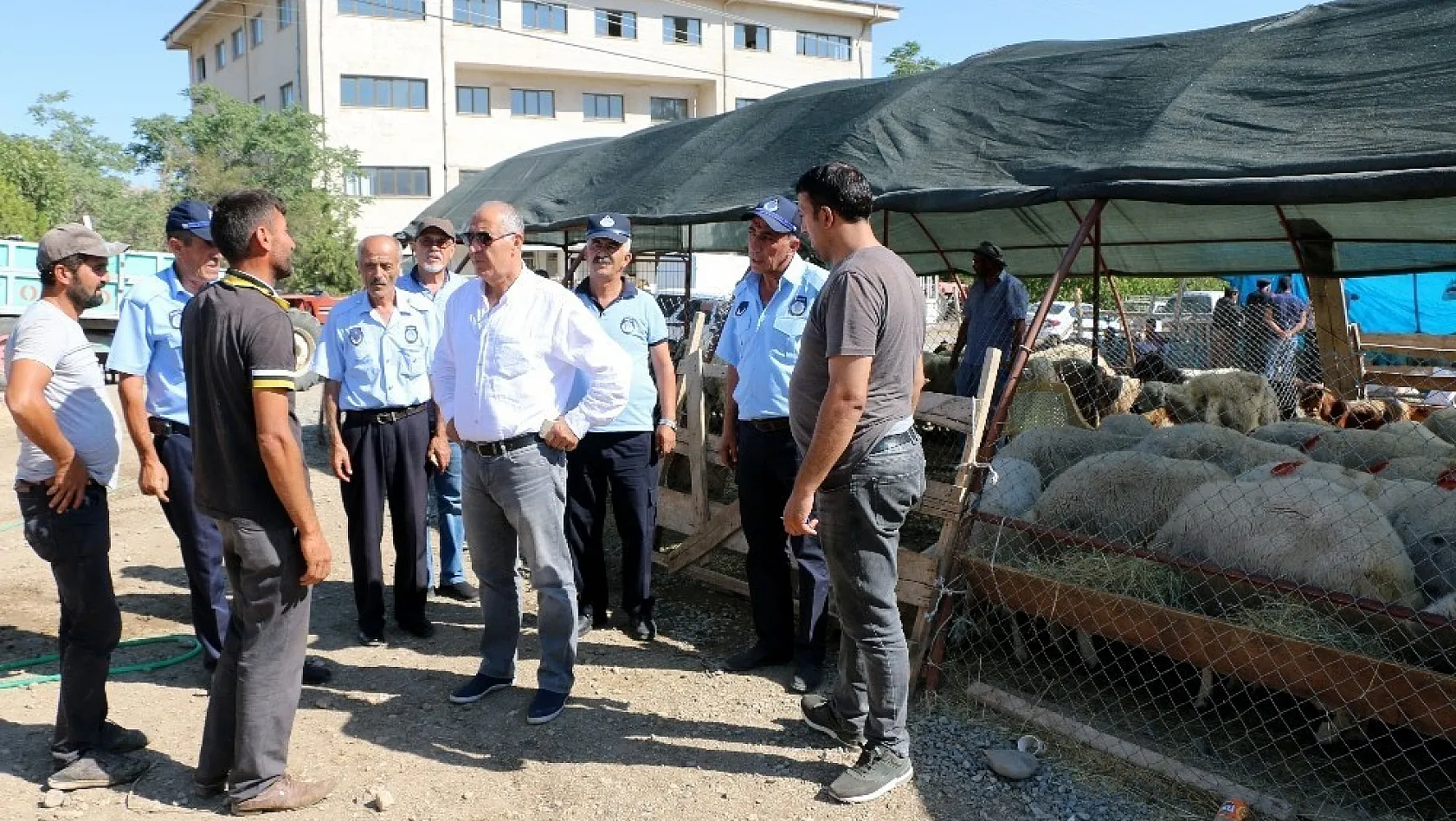 Başkan Karadağ hayvan pazarını denetledi 