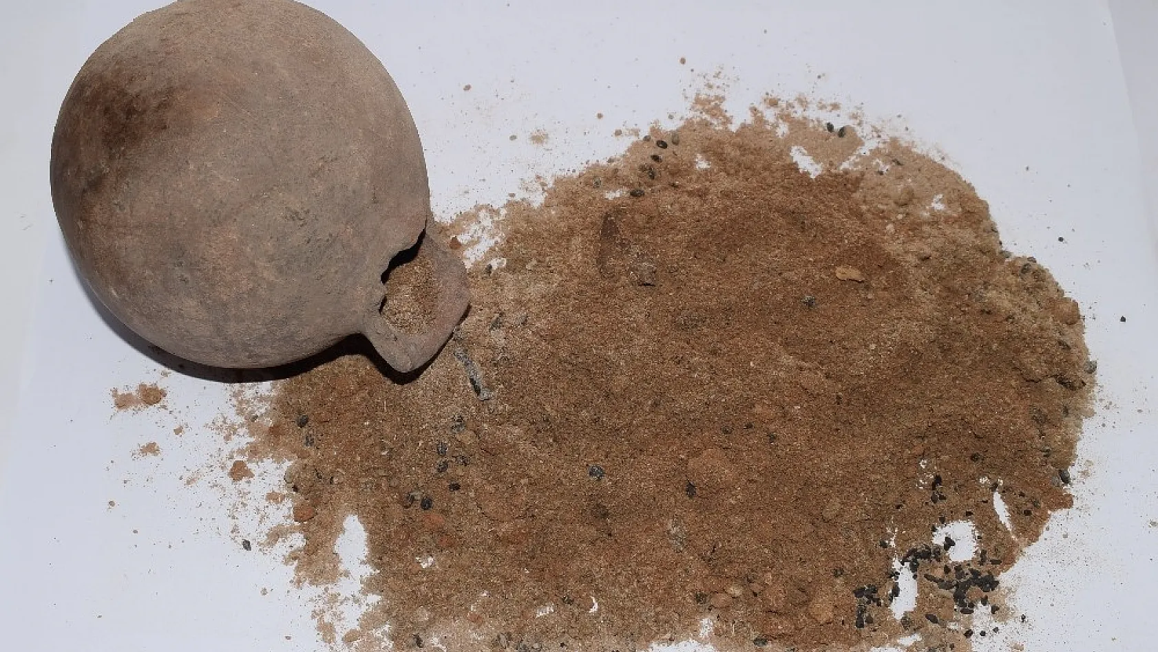 Tarihi kazılarda 'Çömlek' içinde 3 bin yıllık buğday taneleri çıktı 