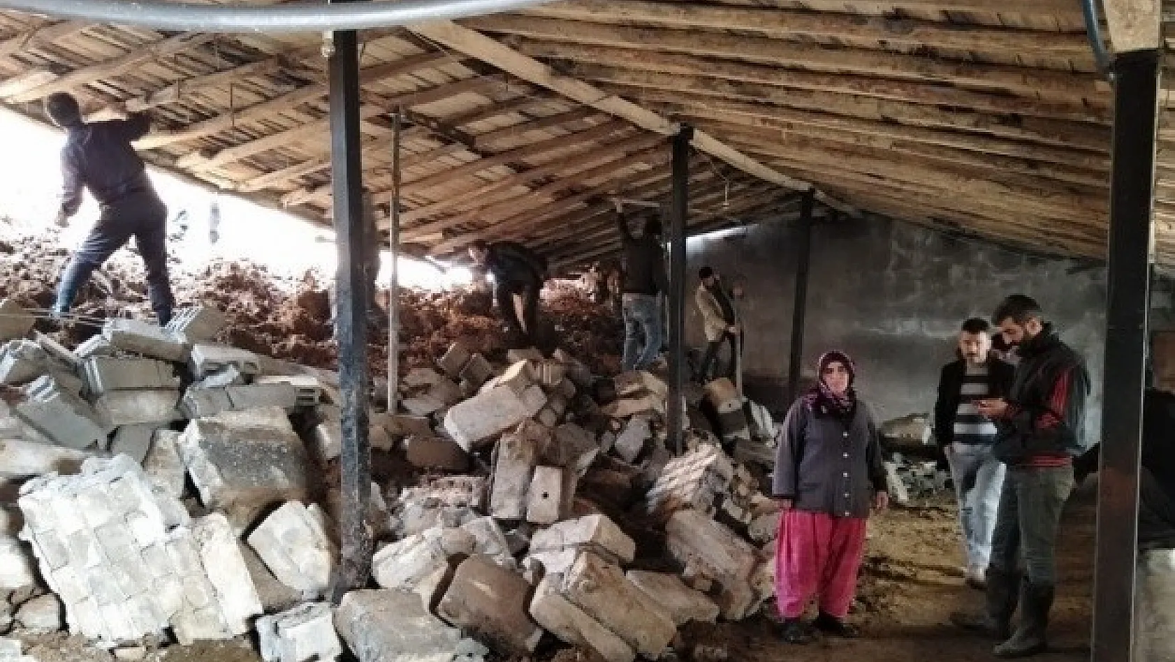 Bingöl'de heyelanda ahır çöktü, 8 inek telef oldu