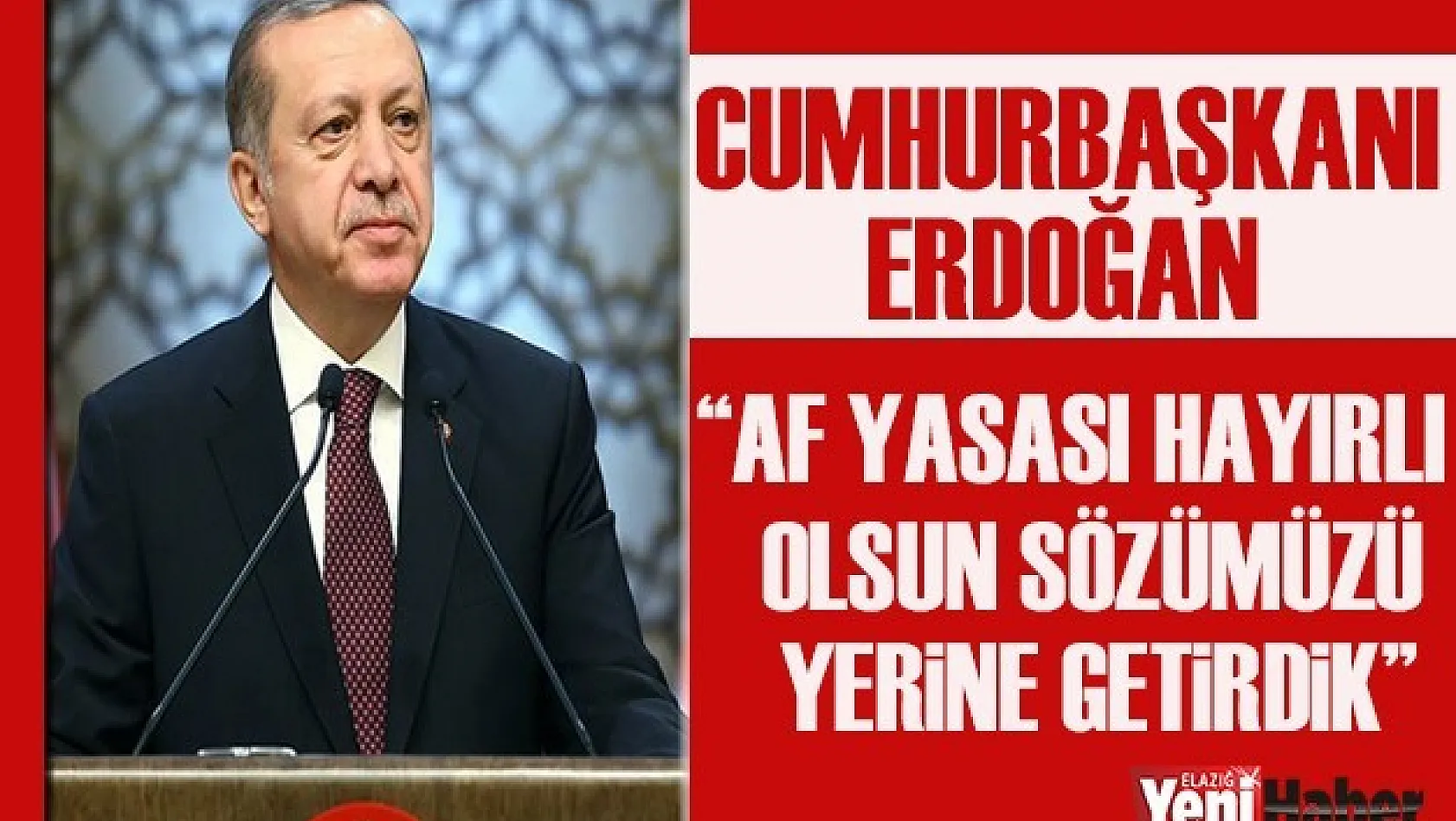 Cumhurbaşkanı Erdoğan, İnfaz Yasasını Değerlendirdi