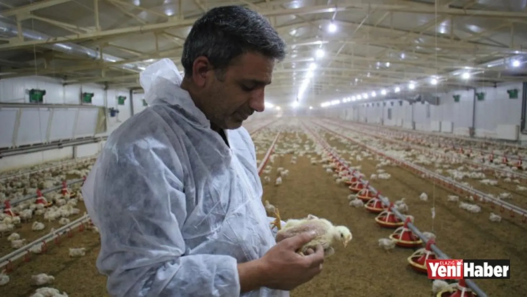 Devlet Desteği İle Çiftlik Kurdu, Yılda 300 Bin TL Kazanmaya Başladı