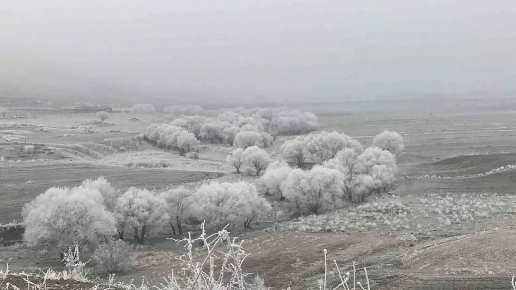 Elazığ'a Adeta Kar Yağmış Gibi...