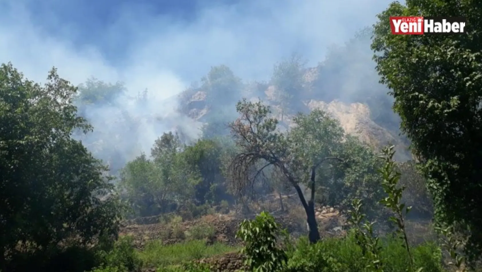 Elazığ'da Çıkan Orman Yangını Kısa Sürede Söndürüldü