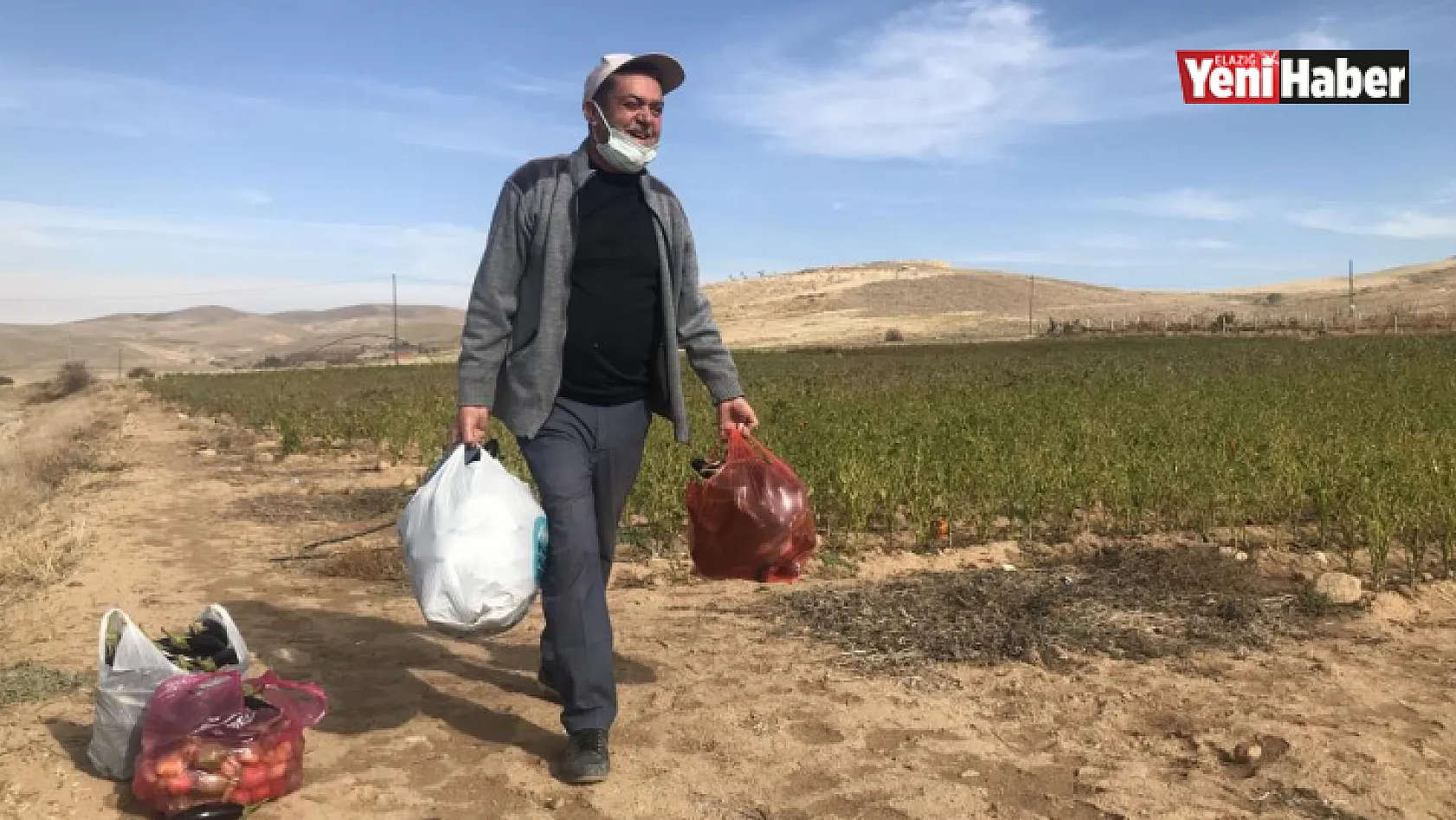 Elazığ'da Sebze Tarlasını Vatandaşlara Ücretsiz Açtı