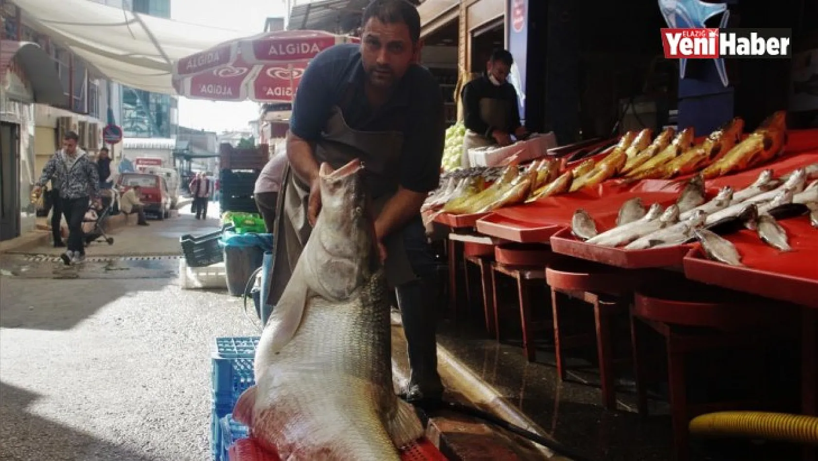 Elazığ'da Sezonun İlk Dev Balığı Yakalandı