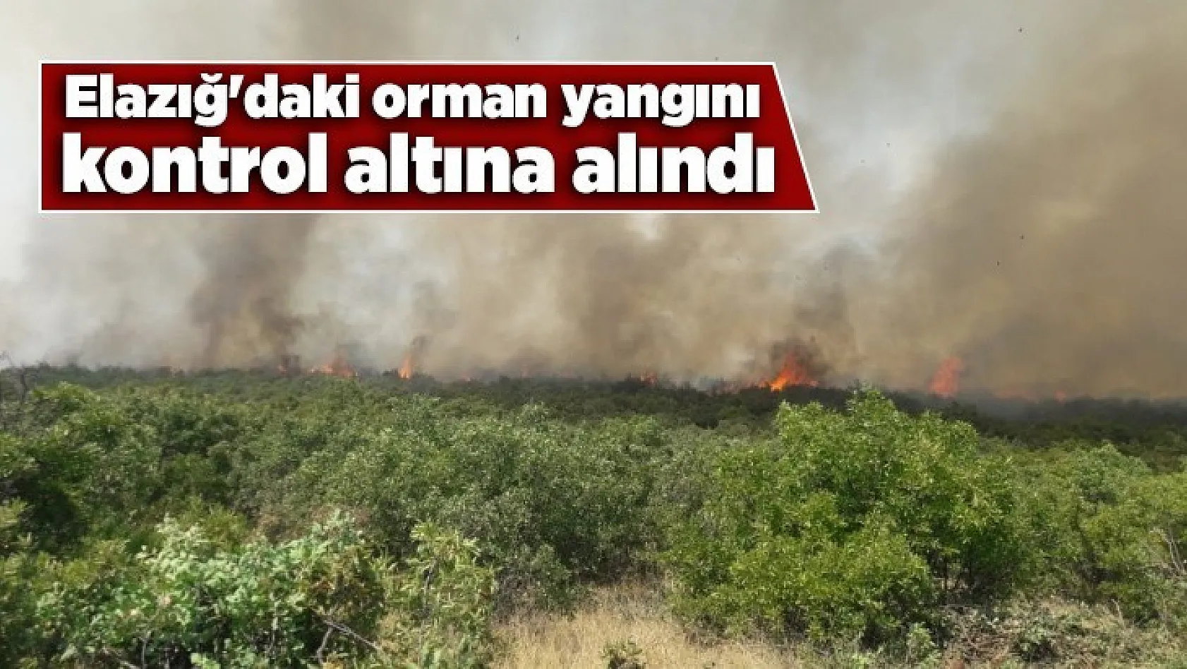 Elazığ'daki orman yangını kontrol altına alındı